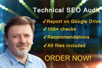 do a technical SEO audit of your wordpress website