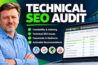 perform a technical SEO audit of your wordpress website