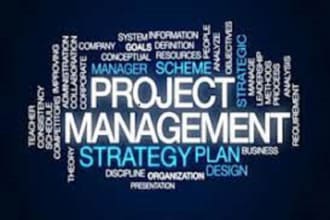 create ms project gantt chart and project plans