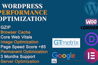 do wordpress speed optimization for google pagespeed insight
