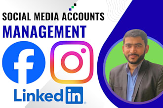 manage facebook, instagram, and linkedin accounts