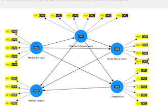 do statistical data analysis using smart pls