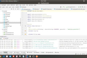 do solid java, spring boot web app development