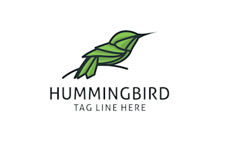 design high quality hummingbird logo in high definition