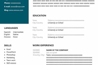 review your resume, rewrite, and edit it to a professional format