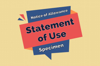 file your trademark statement of use or extension