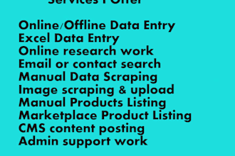 do data entry and copy paste job