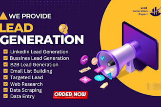 provide linkedin leads, b2b lead generation, and data entry