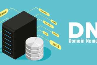 update the dns or nameserver of your domain