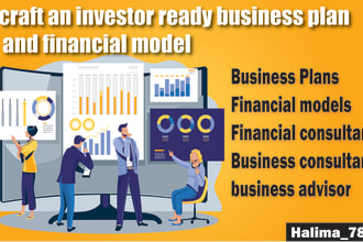 craft an investor ready business plan and financial model