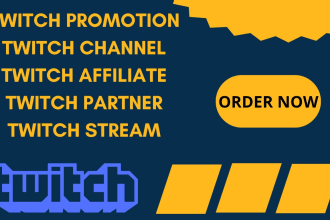 do organic twitch promotion to set twitch views for your partner