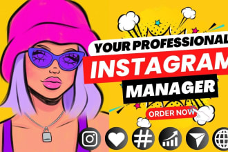 be your perfect professional instagram marketing manager