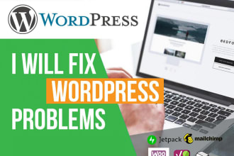 fix any wordpress website bug of your website