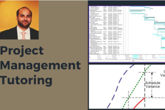 teach you project management