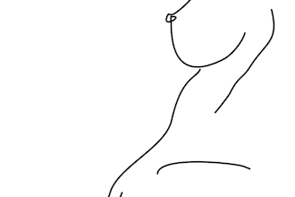 erotic line art in minimalistic or detailed style from picture
