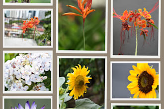 provide nature, landscape, and travel photos