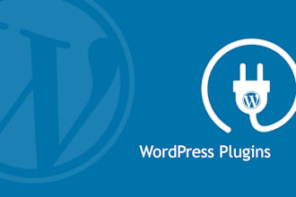 develop a custom wordpress plugin
