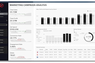 make power bi report, custom dashboard, data visualization with dax power query