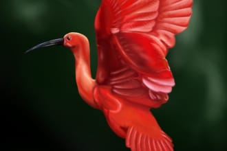 digitally illustrate the idea you have in mind