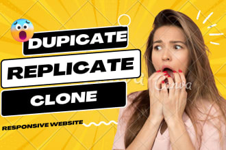 clone replicate redesign wordpress website full responsive