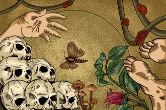 make amazing illustration from your idea