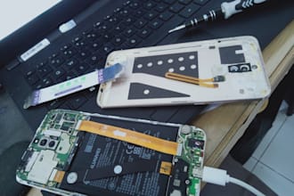 help you to troubleshoot your computer problems by remote