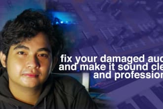 fix your damaged audio and make it sound clear and professional
