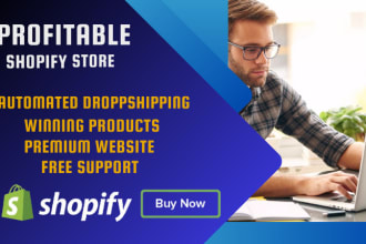 create professional ecommerce shopify website and ecommerce shopify store