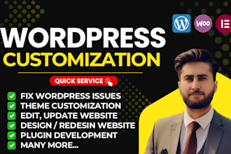 do wordpress changes and do wordpress theme customization and fixes