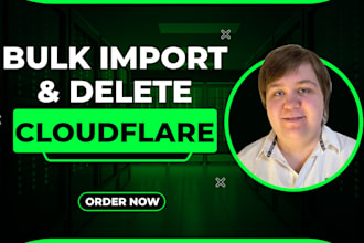 bulk import and delete domains and records for cloudflare