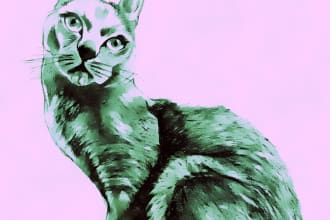 draw your pet portrait
