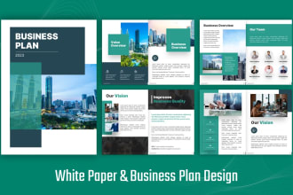 design a white paper or business plan within 24 hours