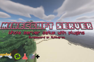 setup a whole minecraft server for you