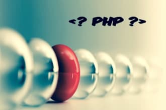 write any PHP code for you