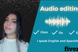 remove wind, noise, echo, repair and clean your audio