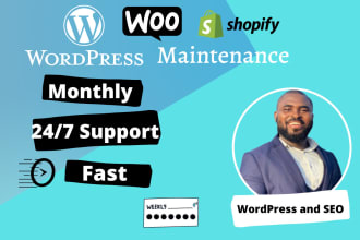 provide monthly wordpress website maintenance and support