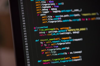 do programming in python, c, cpp, and x86 assembly