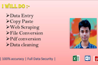 do exact data entry copy paste for you