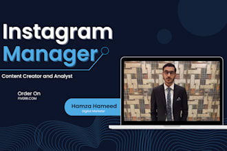 be your instagram manager for your business