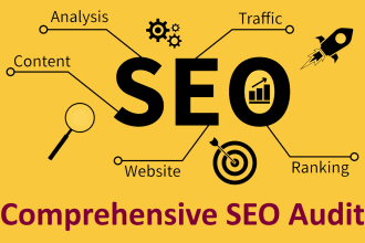 provide expert SEO audit, long term action plan to optimise site and rank higher