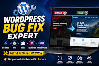 fix wordpress issues, fix wordpress website