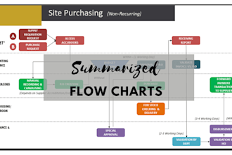 draw professional summarized or detailed process maps or flow charts