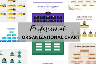 create organizational structure and chart