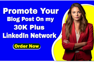 promote you or your blog post on my 30k plus linkedin network