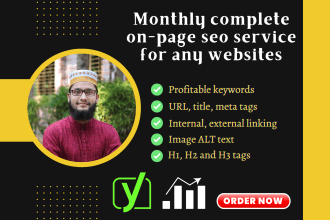 provide monthly on page SEO service for top ranking