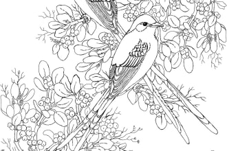 create a digital line drawing for coloring book page