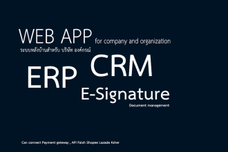 develop or customize your erp or CRM system