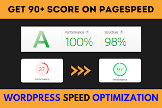 do wordpress speed optimization pagespeed, gtmetrix and fix core web vitals
