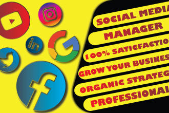 be your youtube, facebook ,instagram account management