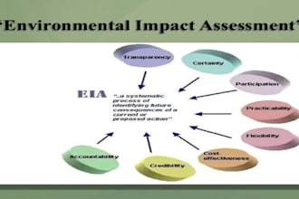 write eia or iee report and environmental study